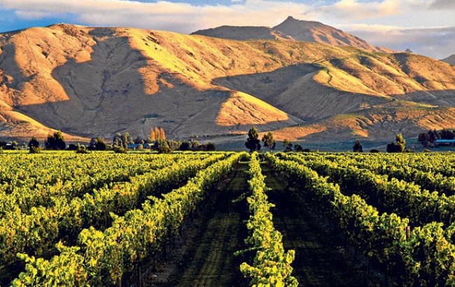 Visiting Cloudy Bay in New Zealand's Wine Region - World of Wanderlust